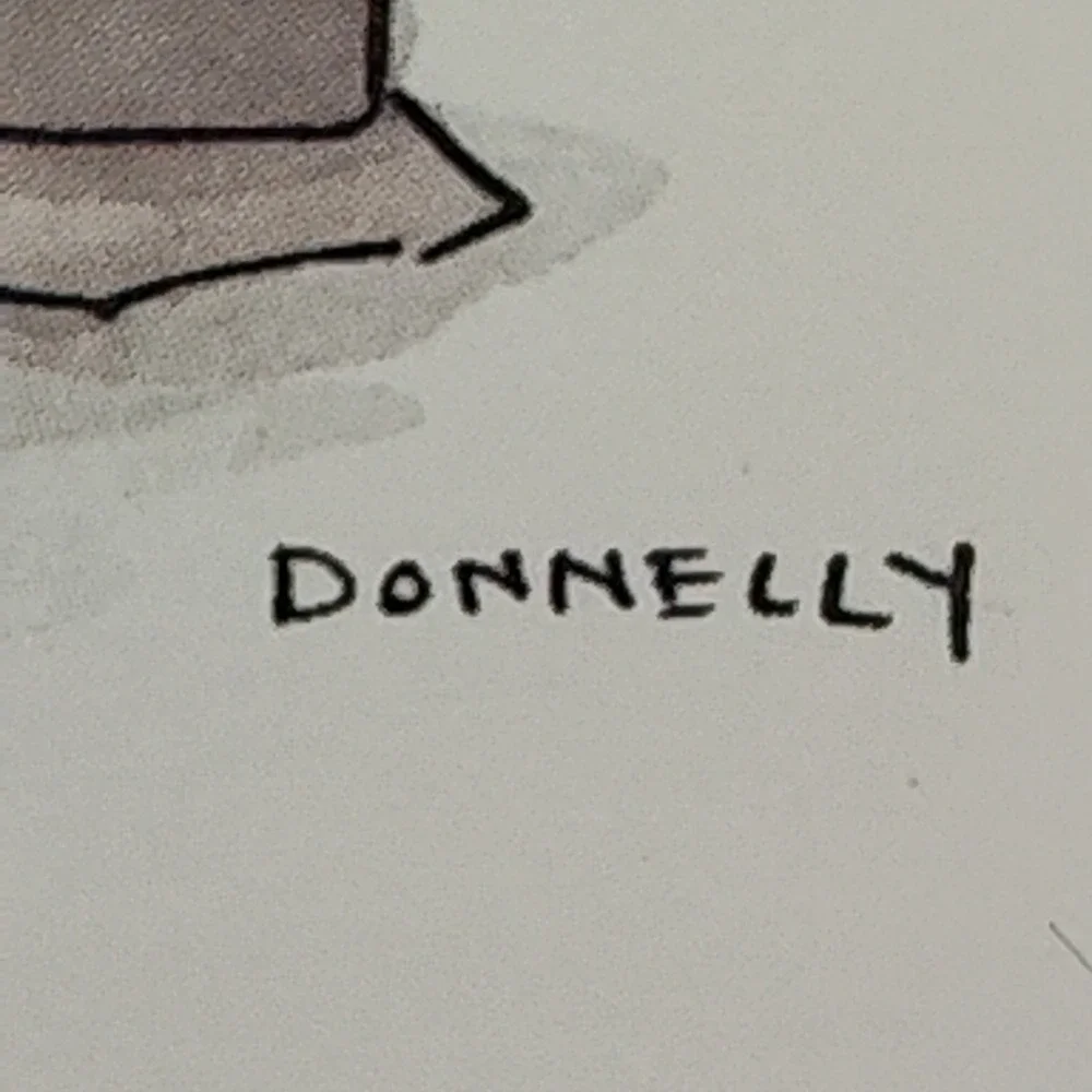 Donnelly Liza Cartoon Postcard Promo 